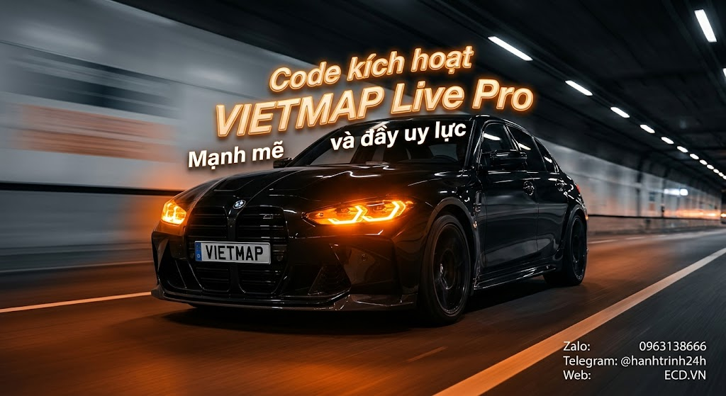 vietmap pro website