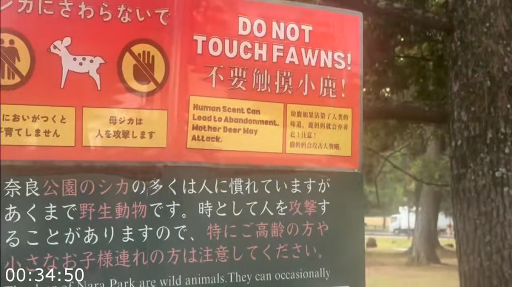 wbyf9pgf6a21.png