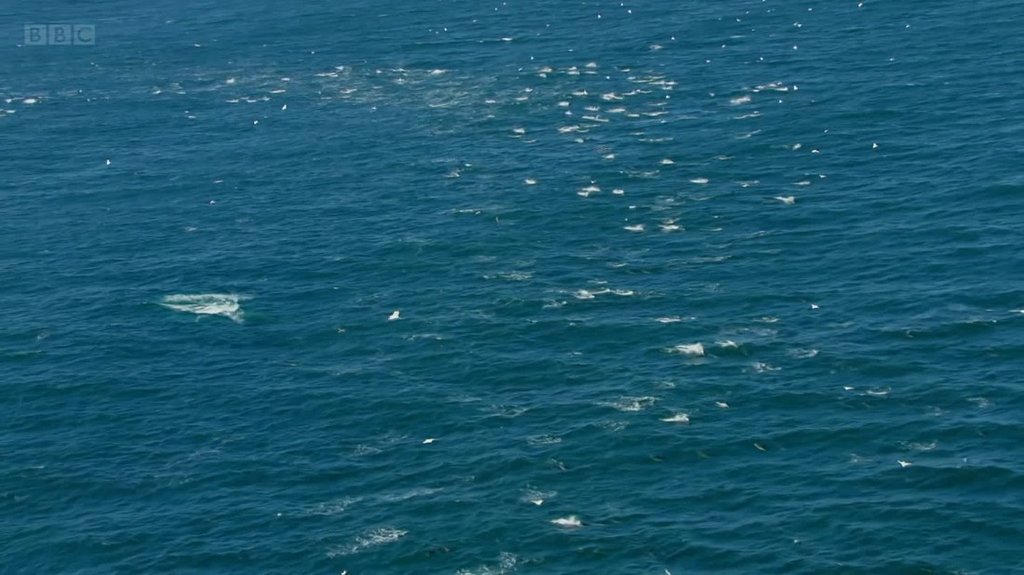 [Image: 4isy6vb5ppk4.jpg]