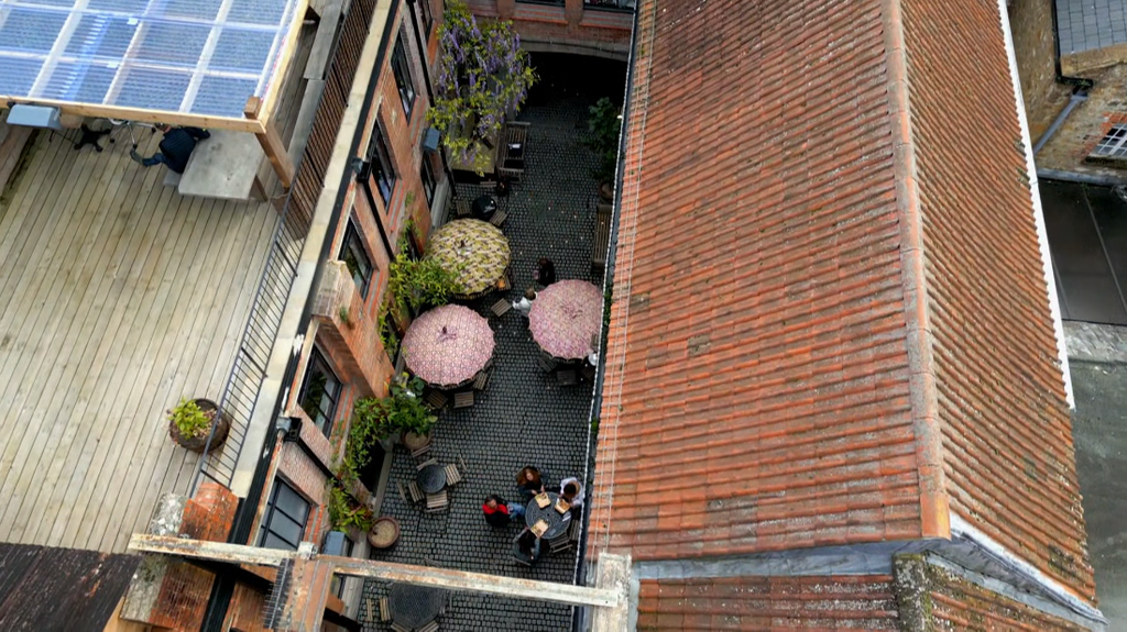 [Image: y9gh5s6x4uuu.png]