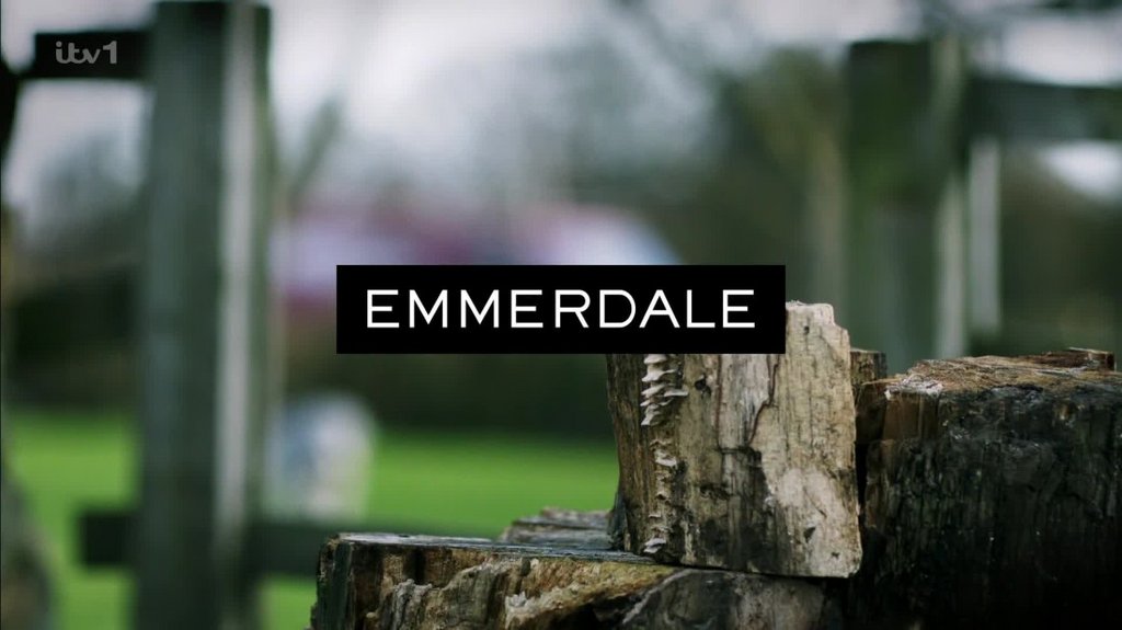 [Image: f8o0vt8bdq9x.jpg]