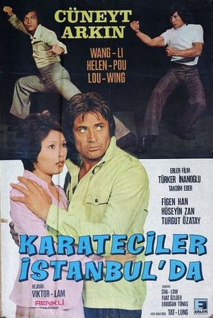 Каратисты в Стамбуле