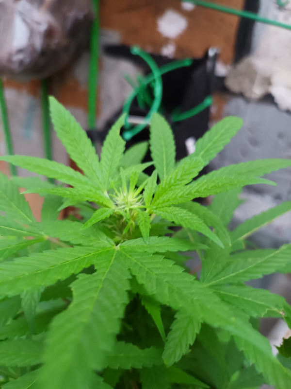 Imagen de WhatsApp 2024-09-16 a las 17.53.06_2dbbc043