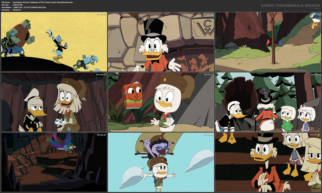 Ducktales S03e01 Challenge Of The Senior Junior Woodchucks!.mkv