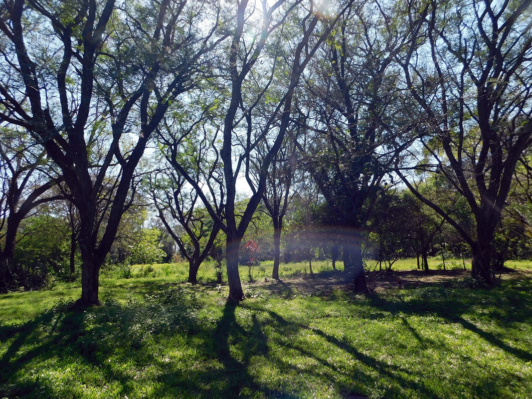 DSCN1988.jpg