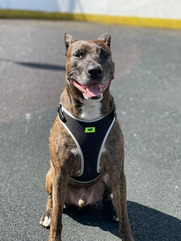 30359FCA-64FE-4E2D-A1F2-E8209BEDA013