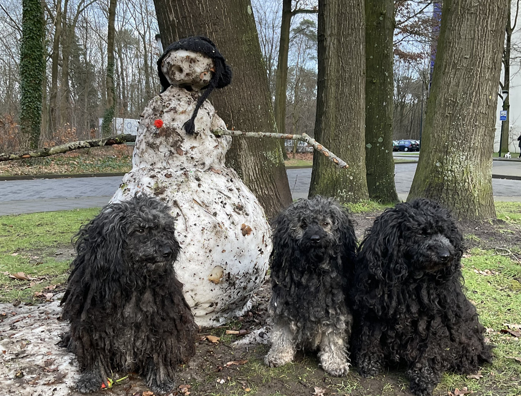 3BE6B332-C1D0-44FB-AD7F-001B60D4DFCC