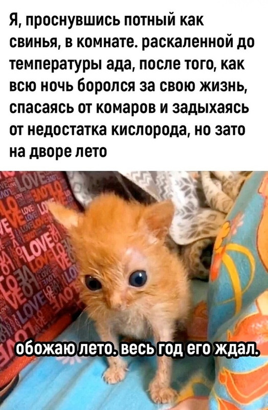 twtAOfBM2X8-8dz_oZY7YMNL_7yA6q5ofIFT9Y-RTsgCPGVVYphzc9kaLeW2DB7aFgMWNiaQdO6uoWsd25QQoDwO