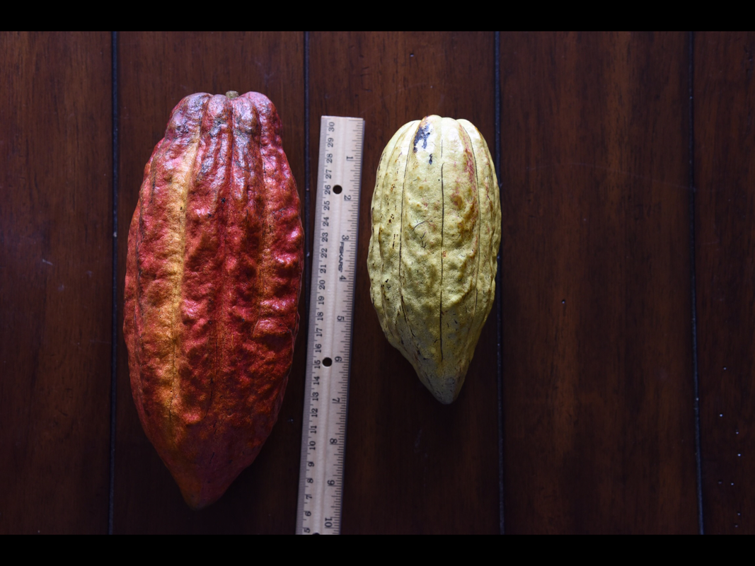 B8183916-13C0-4BA9-BEE6-DEAEEC256376