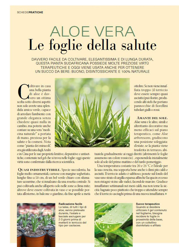 Il Mio Giar Giu-Lug 2025 (5)