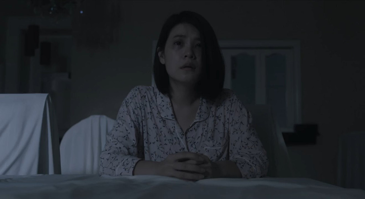 Two Sisters 2019 WebRip [Hindi + Tamil + Telugu + Chinese] 480p 720p ESub Screenshot
