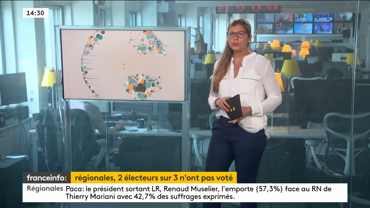 06.28 - 12.59.00 - Le 14h-17h. Au sommaire   Vrai ou fake. - francein....ts_snapshot_00.33.55.037