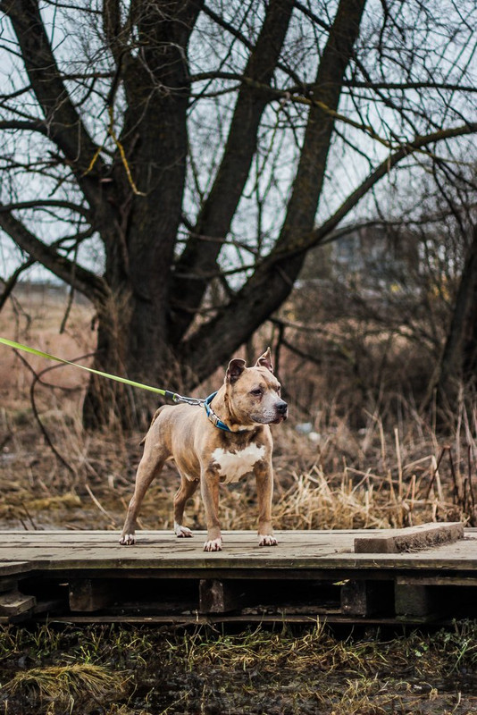 без имени-0562