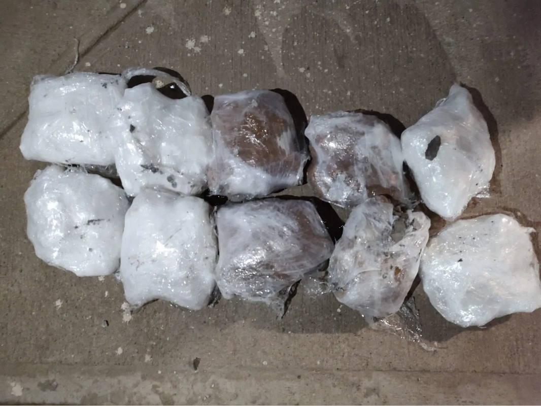 Narcos en Sinaloa ocultan cristal dentro de una caja fuerte; perro los descubre