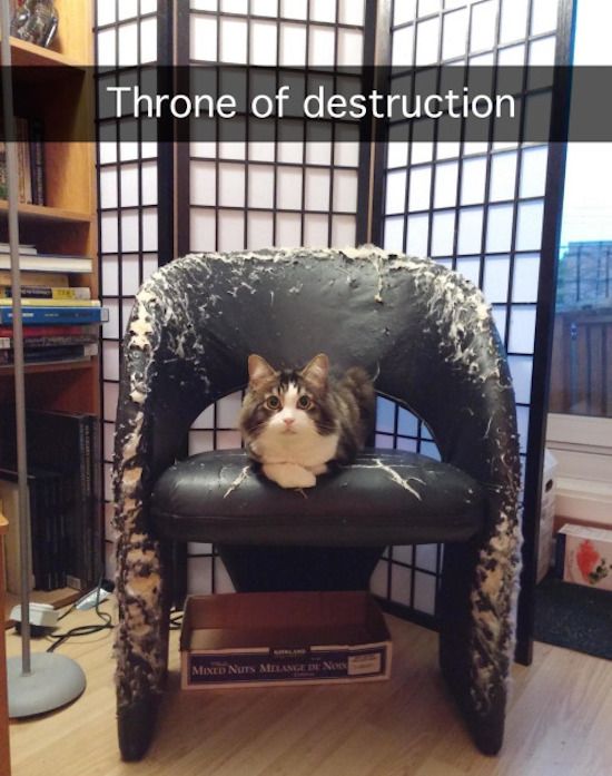 c74791e389bc9ee82b8a844603070c35