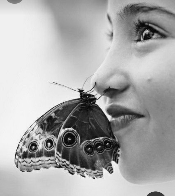 Screenshot_20231128_183655_Pinterest