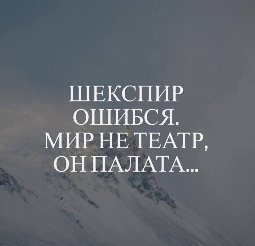 [Изображение: photo-2025-08-24-13-41-45.jpg]