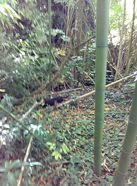 [Image: PANO-20211024-142600.jpg]