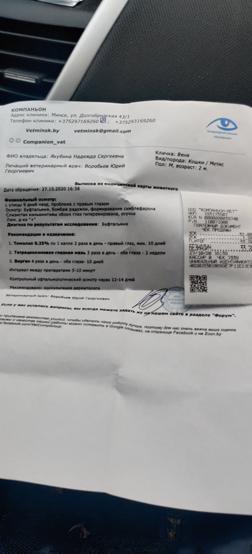 изображение_viber_2020-10-28_21-14-04