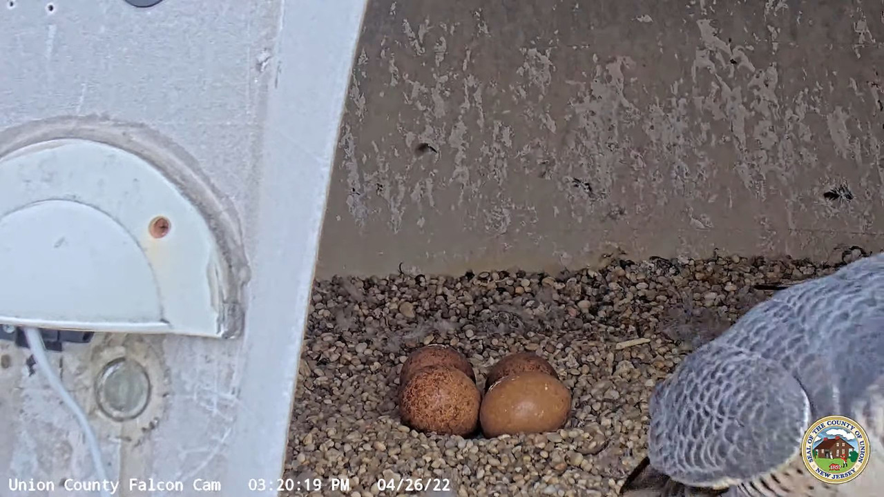 capture_26042022_214354