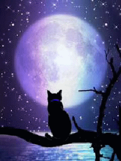 [Изображение: fee63d8a5a111526c720042aa2d0426b-w200.gif]