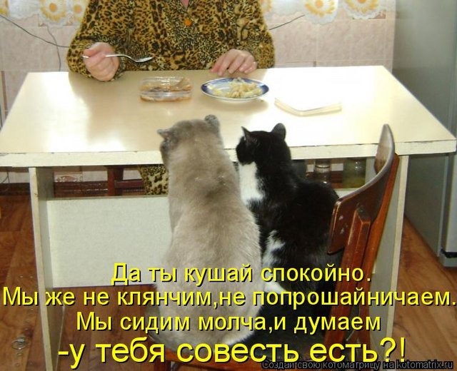 992ad93657af9b30ace17626dcb6ac3a-1878302789-128760233804-800px