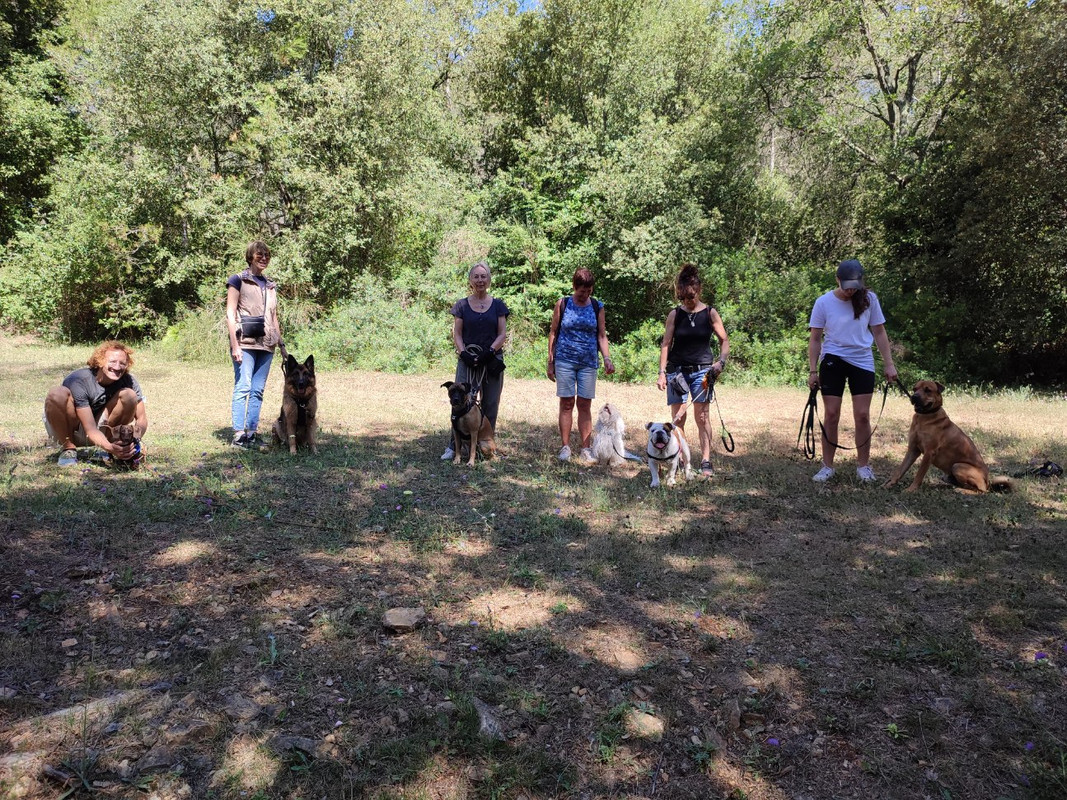 [Image: mms-20210715-154810.jpg]