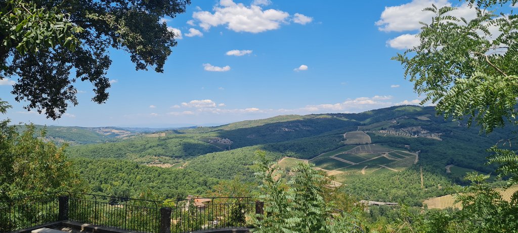 La Toscana 2022: entre termas y cipreses - Blogs de Italia - Valle De Chianti, un domingo entre viñedos (8)