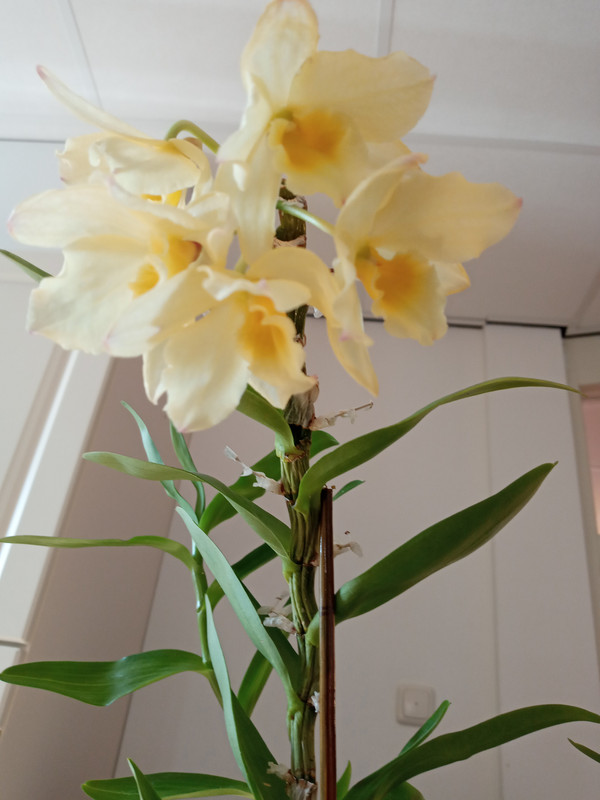 [Image: 20220309-113943.jpg]