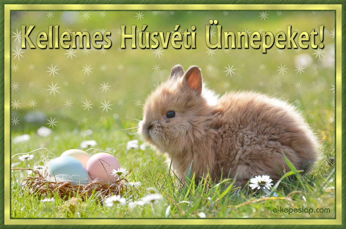 36814-husveti-nyuszi-tojasokkal-kep