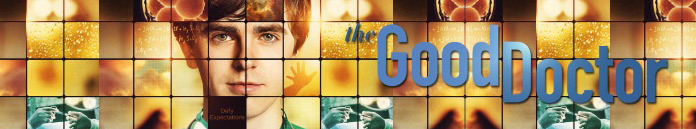 The Good Doctor S03E19 1080p WEB H264-MEMENTO The Good Doctor S03E19 1080p WEB H264-MEMENTO