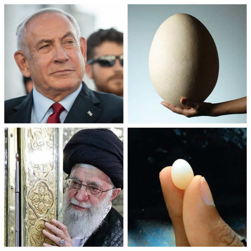 ۲۰۲۴۰۴۰۲_۲۱۴۸۱۳