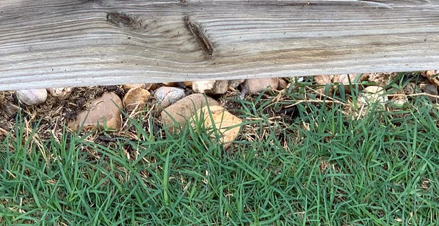 photo Rock Edging Along Fence edging border along fence the lawn forum