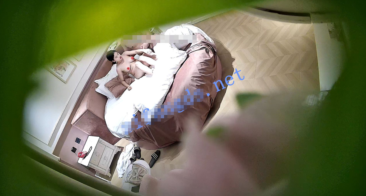 QQ截图20240429125308