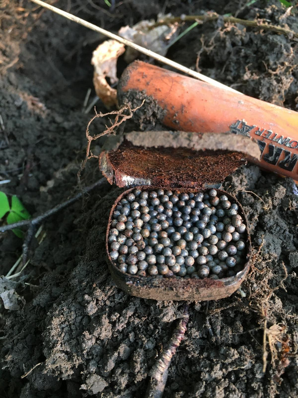 78D74EC9-D123-479A-9613-ABF0544F27E5