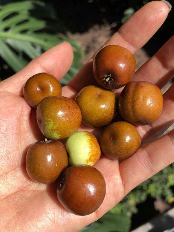 865835FD-0832-4D82-B144-F5998A977FC9