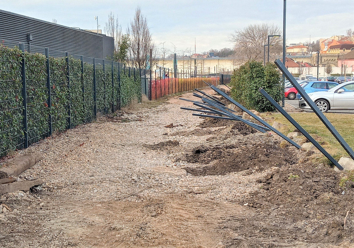 20200131_152652_HDR(1)