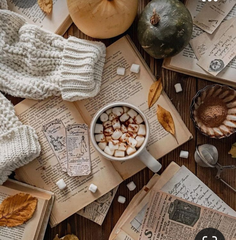 Screenshot_20230922_222901_Pinterest