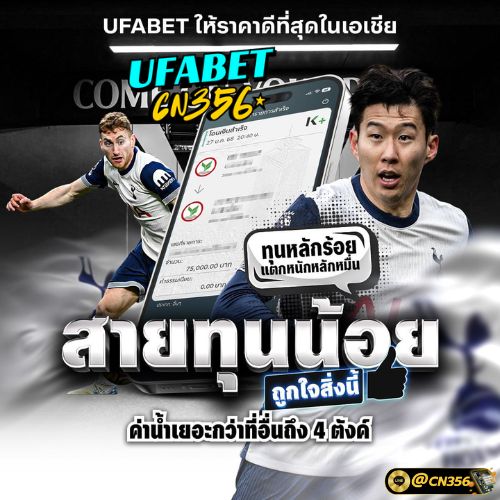 49e8b9-82cb41b0a0ae495a8b5234bf965b408d-mv2