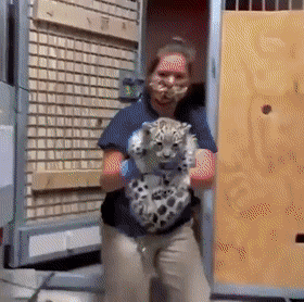 GIFs-18