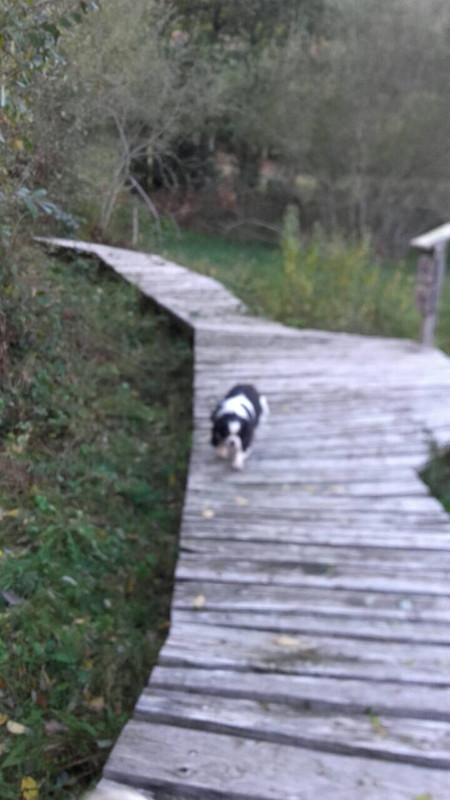 B1CAC0F4-0159-497C-8F89-367E916E2451