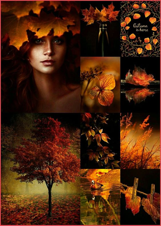 FALL2