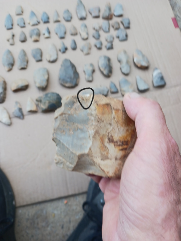 20260504 175732