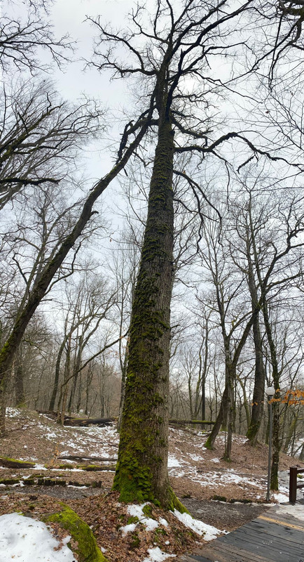 IMG-20230219-WA0018 (1)