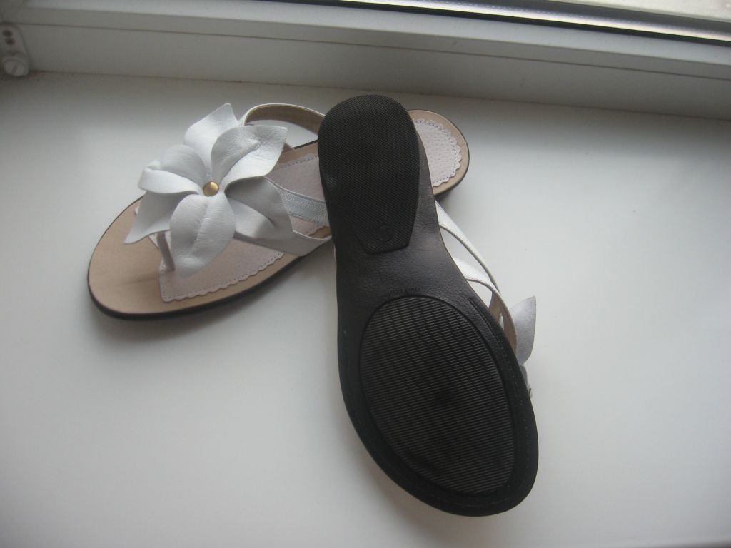 535fb8acc582cd0c0504ecd2553e10f9