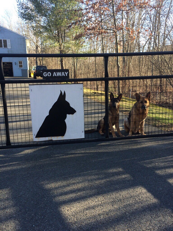 best fencing for german shepherd