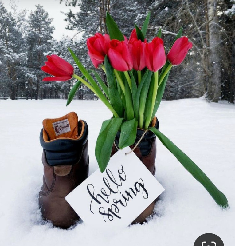 Screenshot_20230327_233719_Pinterest