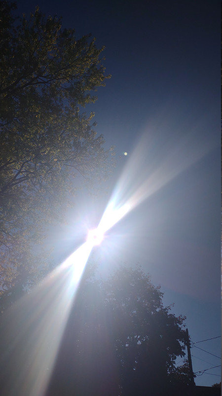 IMG 20251026 144703933