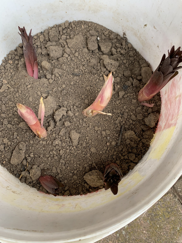 890F6EE1-5C32-487B-BBDB-3EF5CF349079