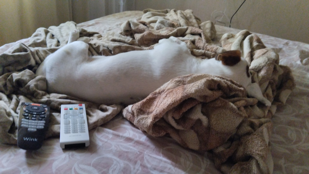 IMG_20231103_132124_663